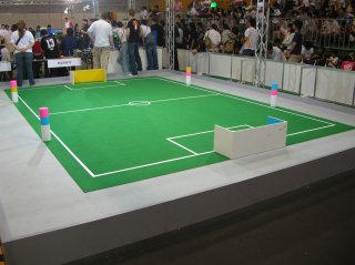 field1.jpg